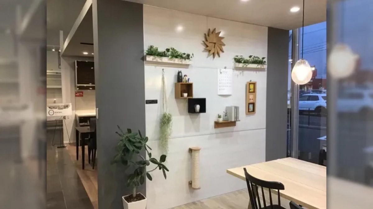 樂軒名廚板橋 Takara 系統廚具展示空間