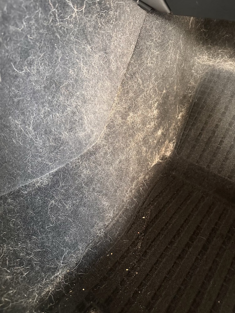 佑鑫台南汽車內裝清潔 地墊卡滿狗毛