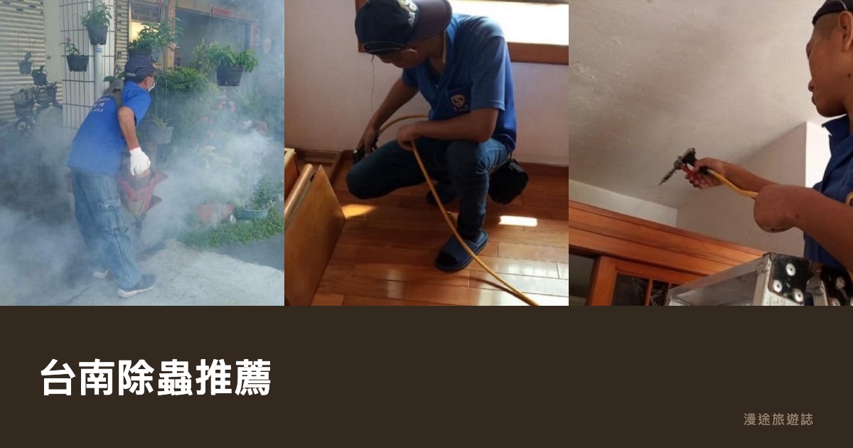台南除蟲推薦｜尚撰、思威特等 6 家合法病媒防治一次看，白蟻怎麼處理（2026）