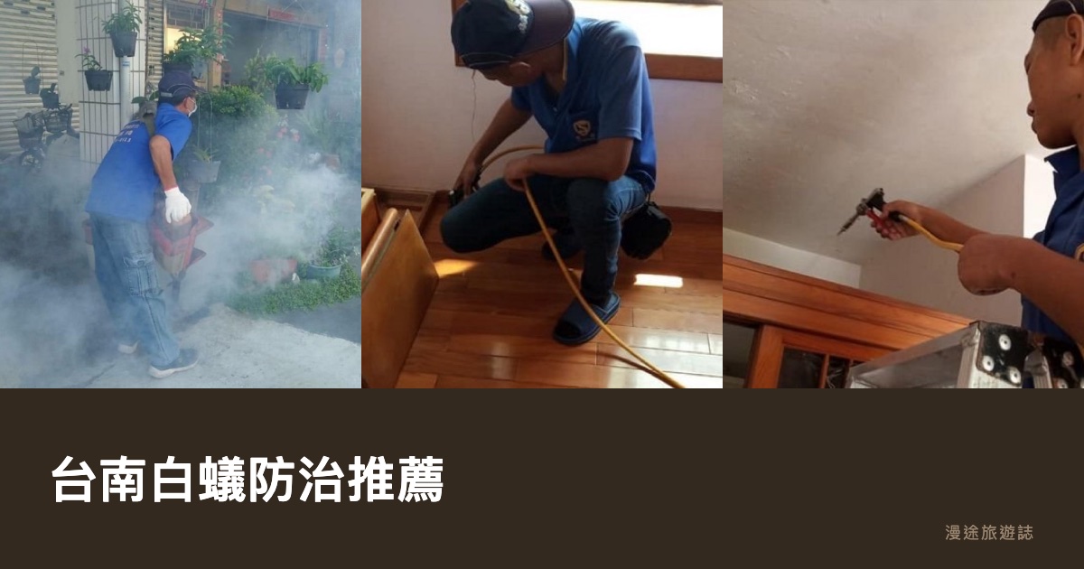 台南白蟻防治推薦｜餌劑 vs 灌注怎麼選、費用保固、6 家合法業者（2026）